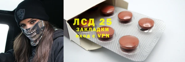 прущие грибы Новокубанск