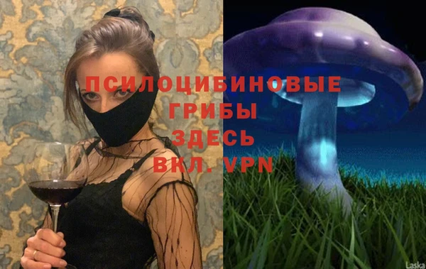 героин Алексин